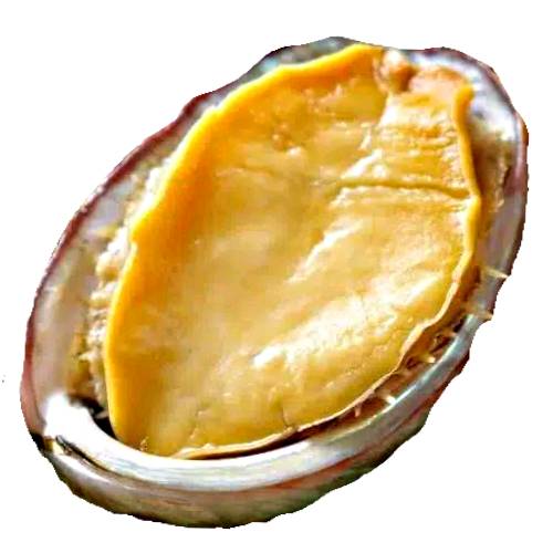 Abalone Cooked - Cooked Abalone is cooked by poaching in stock or fried and is best when lightly cooked.