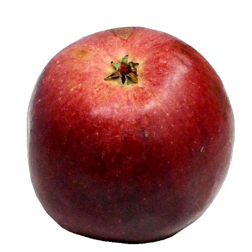 Alice apple has a dense and crispy texture and a rich heirloom like complex flavor sweet with hints of tart.