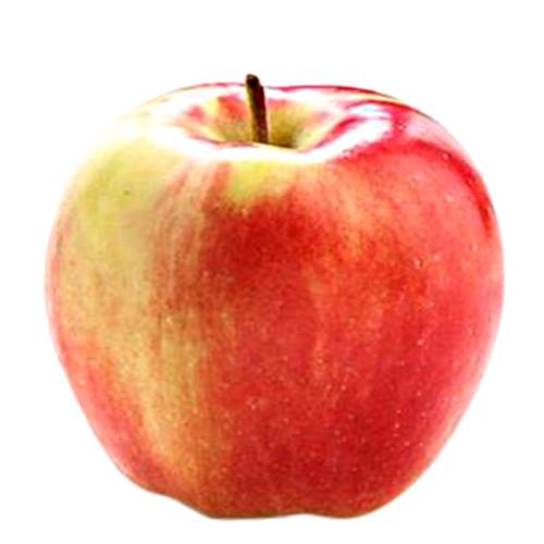 Apple Ambrosia - Ambrosia apple skin is thin glossy and mainly pinky red in colour with faint creamy yellow and flesh is firm dense fine and crisp in texture the flavour is sweet with only a hint of balancing tartness.