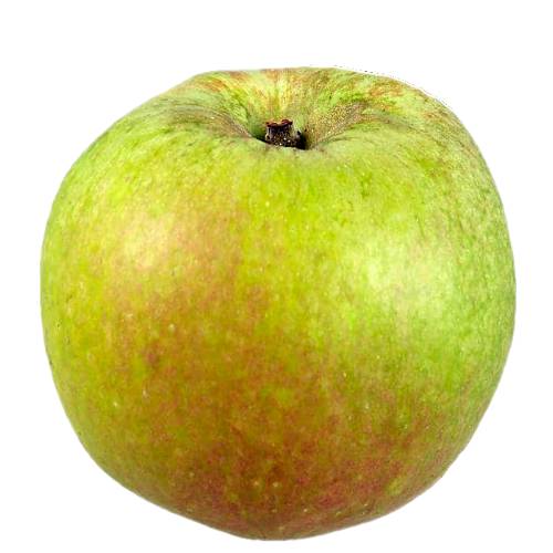 Apple Bramley - Bramley apple is a cultivar of apple that is usually eaten cooked due to its sourness and has a lime green skin with a light splash of red.