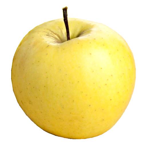 Golden Delicious apple arose from a chance seedling possibly a hybrid of Grimes Golden and Golden Reinette.