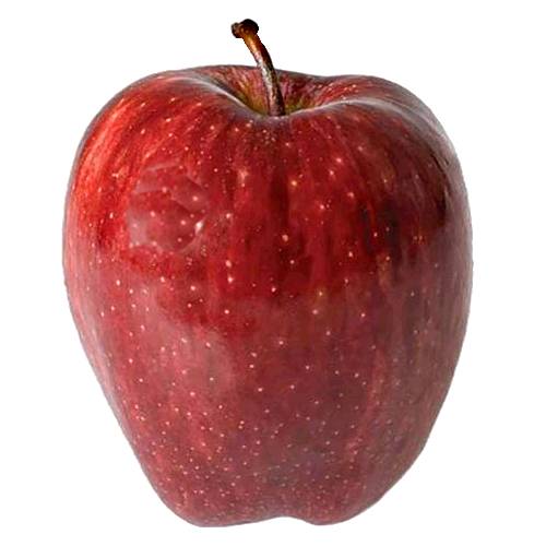 Apple Delicious Stark - Stark Delicious apple a round blushed yellow fruit of surpassing sweetness.