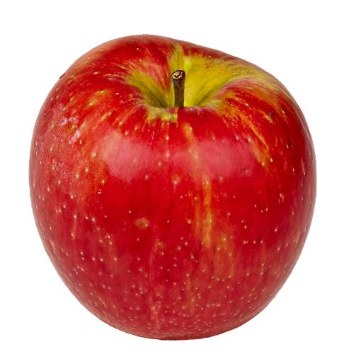 Honeycrisp apple has a sweetness firmness and tartness make it an ideal apple for eating raw.