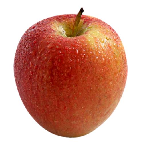 Apple Jazz - Jazz Apple is from the Scifresh cultivar of domesticated apple and Scifresh is a cross between Royal Gala and Braeburn.