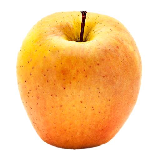 Jonagold apple is sweet fruit with a thin skin and has a green yellow basic color with crimson brindled covering colour.