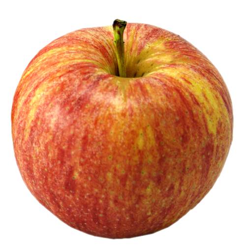 Apple Kanzi - Kanzi Apple is a modern bred cultivar of domesticated apple which has been developed in Belgium.