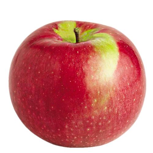 Apple McIntosh - McIntosh apple is a small to medium sized round fruit that has red and green skin a tart flavour and tender white flesh.