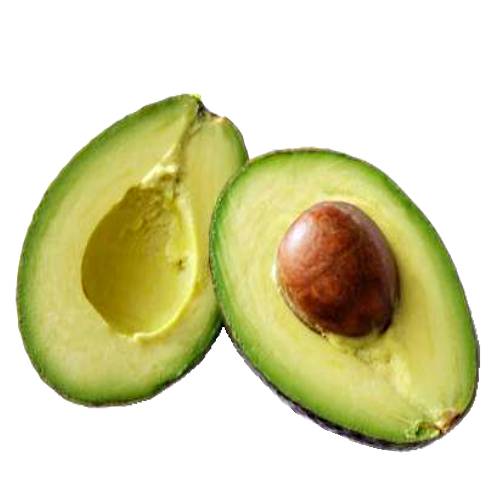 Avocado - The avocado is a tree long thought to have originated in South Central Mexico classified as a member of the flowering plant family Lauraceae.