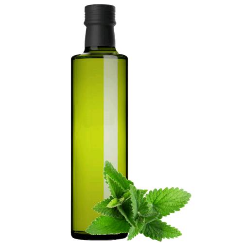 Balm Syrup - Balm Syrup is made from lemon scented leaves cooked with sugar and water into a thick syrup.