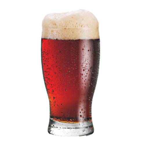 Beer Brew Gose - Gose beer is a warm fermented beer that originated in Goslar Germany and usually brewed with grain bill being malted wheat and typically do not have prominent hop bitterness flavours or aroma.