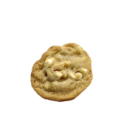 Macadamia Nut Biscuit made by mixing butter and sugar then adding macadamia flour and then baked.