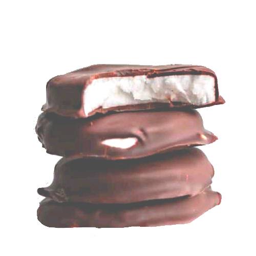 Biscuit Peppermint Patty - Peppermint Patty Biscuit with sweet peppermint filling encased in a dark chocolate biscuit then coated in chocolate.