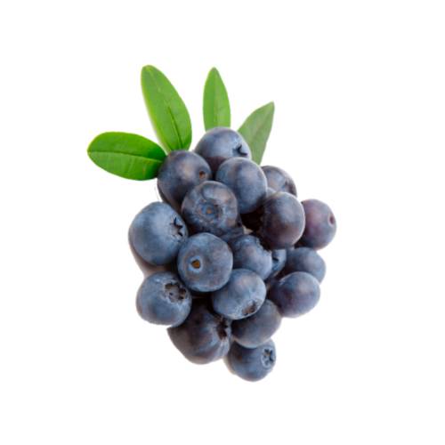 Blueberry pulp is blueberry cut and mashed into small pices it can be cooked ar not cooked.