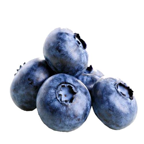 Blueberry - Blueberries or Bilberries are perennial flowering plants with indigo colored berries.