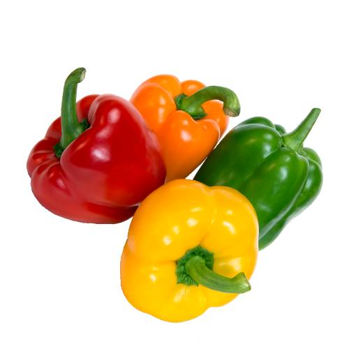 Capsicum - Capsicum the pepper is a genus of flowering plants in the nightshade family Solanaceae. Its species are native to the Americas where they have been cultivated for thousands of years.