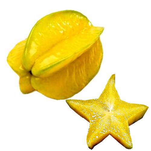 Carambola - Carambola or star fruit is the fruit of Averrhoa carambola a species of tree native to Indonesia the Philippines and throughout Malesia.