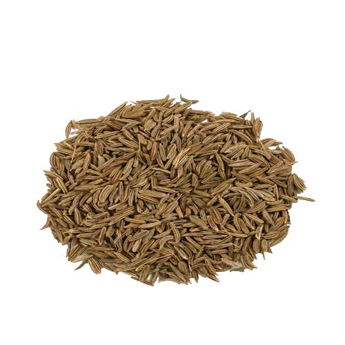 Caraway Seeds are regarded as one of the oldest spices.