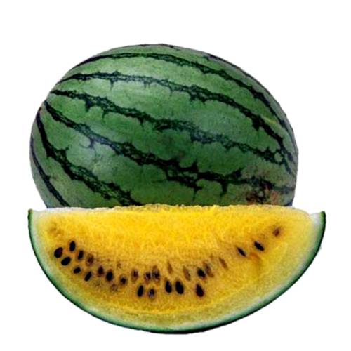 Champagne Melon - Champagne melon is a sweet oval shaped watermelon with pale orange flesh and a pale green skin striped with darker green.