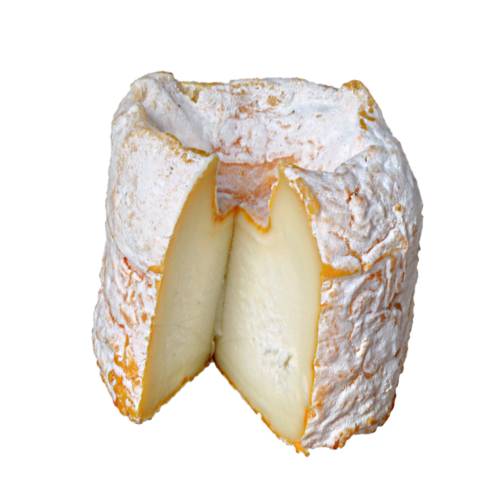 Cheese Langres - Langres Cheese from the plateau of Langres in the region of Champagne Ardenne.