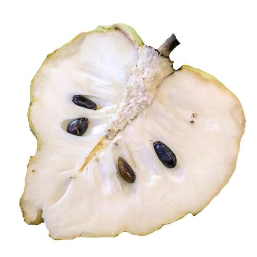 Cherimoya Pulp - Cherimoya Pulp is rip cherimoya clean and cut into small bits and then mashed into a thick pulp.