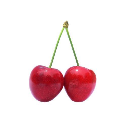 Cherries - A cherry is the fruit of many plants of the genus Prunus and is a fleshy drupe. The cherry fruits of commerce usually are obtained from cultivars of a limited number of species such as the sweet cherry and the sour cherry.
