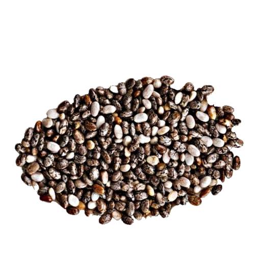 Chia seeds are the edible seeds of Salvia hispanica a flowering plant in the mint family native to central and Mexico.
