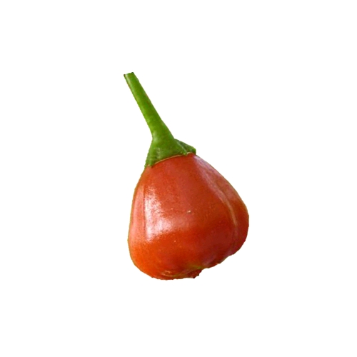 Chili Aji - Aji chili has between 30000 to 50000 scoville heat units and is a type of chili pepper also called aji red chilli.