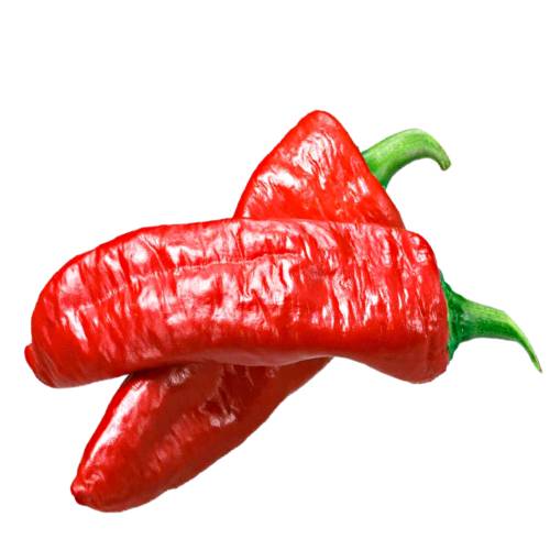 Aleppo Chili also known as the Halaby pepper is named after the city of Aleppo in Northern Syria and has around 15000 scoville heat units.