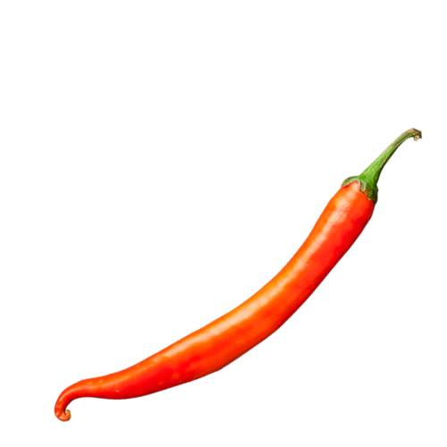 Chili Birds Eye Orange - Orange birds eye chili with between 50000 to 100000 scoville heat units found across Southeast Asia.