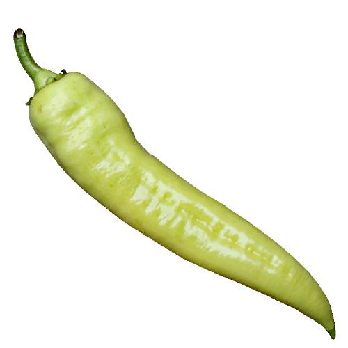 Chili Friggitello - Pepperoncini Chili has 100 to 500 scoville heat units and wrinkled thin skin also friggitello is sweet and bitter and also called Golden Greek pepper or Sweet Italian pepper or Tuscan pepper.
