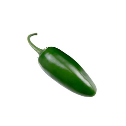 Jalapeno green chili pepper of the species Capsicum annuum can be light in spice or a very hot chilli pepper and called a chipotle chili when dried.