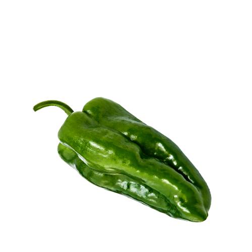 Poblano chili is a mild chili pepper at 1000 to 1500 scoville heat units originating in the state of Puebla Mexico and large dark green and when dried it is called ancho or chile ancho.