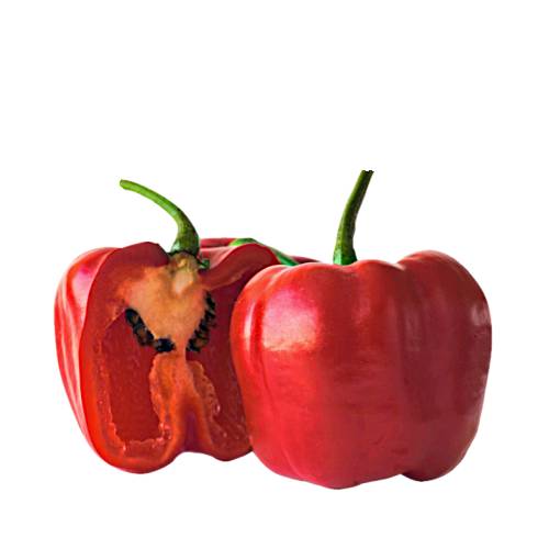 Rocoto Chili looks on the outside like a pepper for confusion but burns like a medium strong chilli and has 100000 to 250000 scoville heat units.