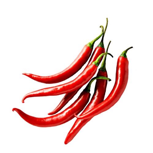 Chili Yatsufusa - Yatsufusa chili also called Yatzy chili also known as chilies japones has 50000 to 75000 scoville heat units and the Yatsufusa pepper is a popular condiment in Japanese cuisine.
