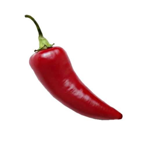 Chili - Chili pepper from Nahuatl chilli is the fruit of plants from the genus Capsicum members of the nightshade family Solanaceae and is 0 to 2200000 scoville heat units.