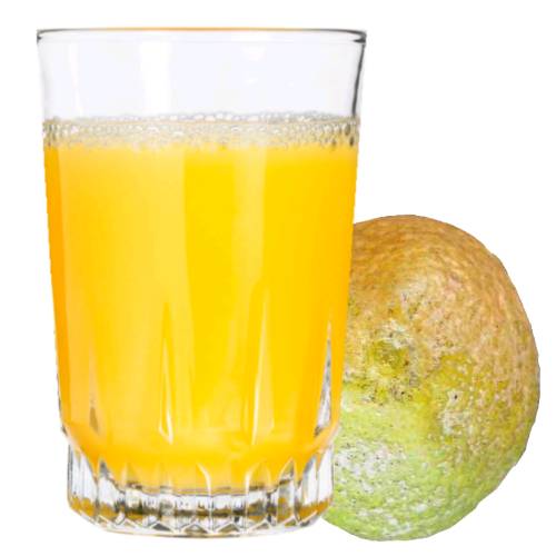 Citrofortunella Juice - Citrofortunella Juice is made from pulping and pressing the fruit into a deep bitter sweet liquid.