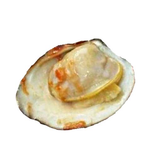 Smoked Clams are bivalve mollusc found in salty or fresh waters that are then hot smoking.