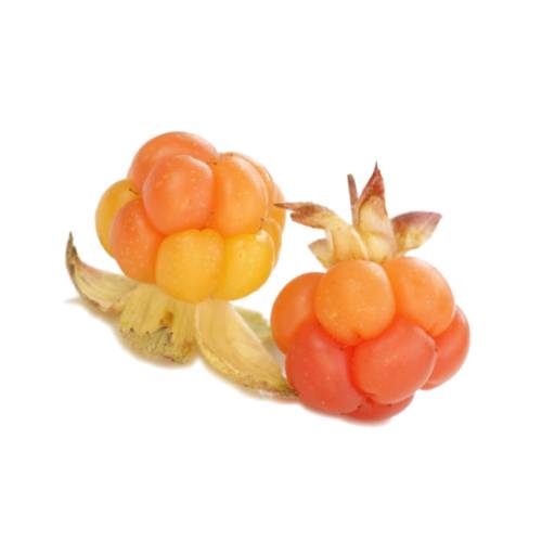Rubus chamaemorus similar to the raspberry or blackberry names include cloudberry nordic berry bakeapple knotberry and knoutberry aqpik or low bush salmonberry.