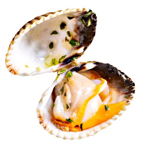 Cooked Cockle can be cooked in a few ways and us best cooked in shell.
