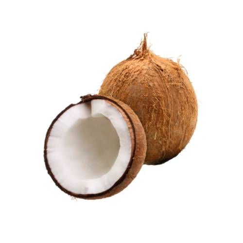 Coconut - The coconut tree is a member of the family Arecaceae and the only species of the genus Cocos. The term coconut can refer to the whole coconut palm or the seed or the fruit which botanically is a drupe not a nut.