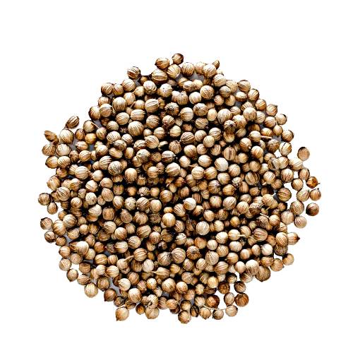 Coriander seeds is an annual herb in the family Apiaceae.