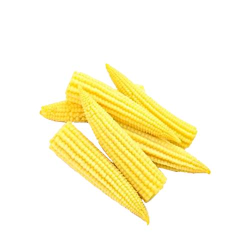 Baby Corn also known as baby corn spears or young corn cornlets or baby sweetcorn are harvested early while the stalks are still small in size and has a pale yellow cobs with a light sweet tast.