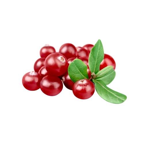 Cranberries - Cranberries are a group of evergreen dwarf shrubs or trailing vines in the subgenus Oxycoccus of the genus Vaccinium.