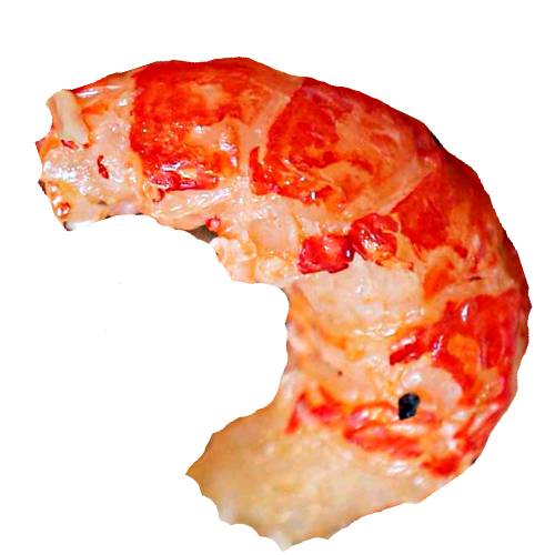 Cooked Crayfish can be cooked in many ways from boiled char grilled and baked.