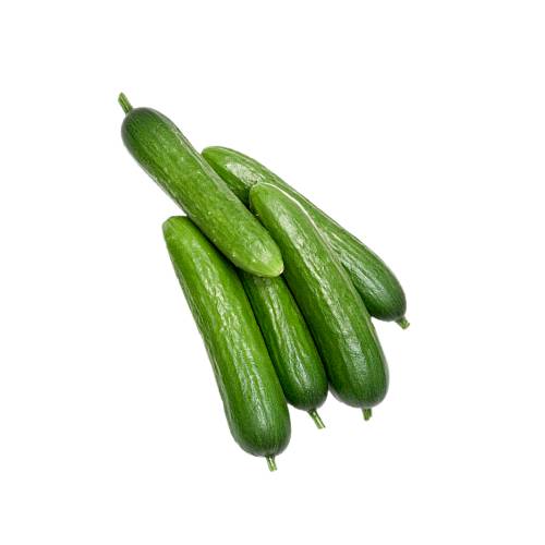 Cucumber Baby - Baby cocktail cucumber is a creeping vine that bears cucumiform fruits and are small in size and as big as a finger.