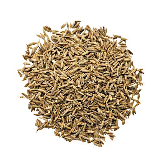 Cumin Seeds.