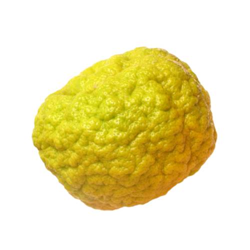 Dangyuja - Dangyuja also called daengyuji is a citrus fruit that is a specialty of Jeju Island and has a similar shape and flavour to yuzu but is genealogically a variety.