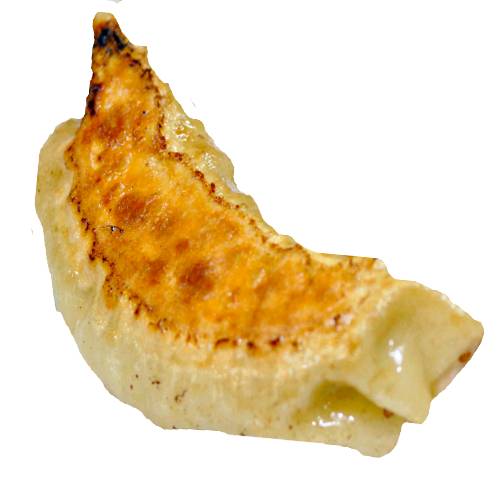 Dumpling Gyoza - Gyoza Dumpling are the pan fried dumplings that are crisp and golden on the bottom and juicy inside with mixed stuffing of meat and veg with spices.