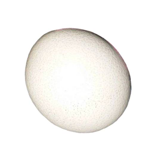 Egg Finch - Finch Egg is a small oval shape with had outher layer made from calcium and contains albumen the white high in proteins and vitellus the yoke high in fatty acids and soluble vitamins A D E and K.