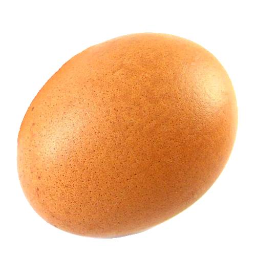 Egg Guineafowl - Guineafowl Egg is 40 and 50 grams and is oval shape or round and has an outher layer made from calcium carbonate or soft and contains albumen the white high in proteins and vitellus the yoke high in fatty acids and soluble vitamins A D E and K.